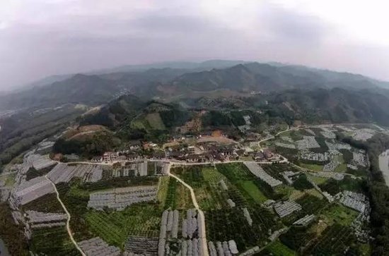 廣西昭平最新資訊，高科技產(chǎn)品引領未來，提升生活品質(zhì)