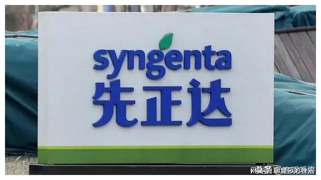 先正達(dá)國(guó)內(nèi)上市,先正達(dá)國(guó)內(nèi)上市，機(jī)遇與挑戰(zhàn)并存