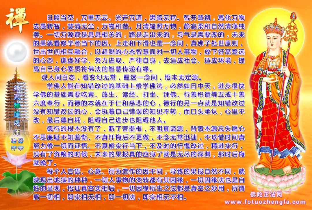 最新佛法開示揭秘，小巷深處的禪意寶藏探尋