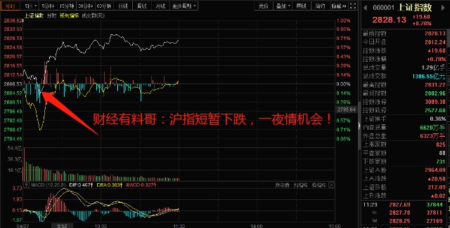 財(cái)?shù)佬星榉治雠c操作指南，初學(xué)者與進(jìn)階用戶的必備指南