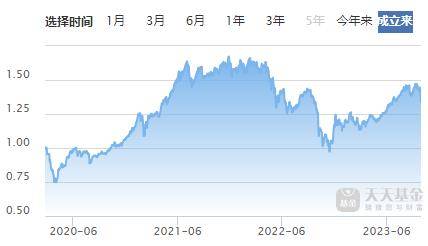 揭秘310398基金今日凈值，日常關(guān)注與奇妙緣分